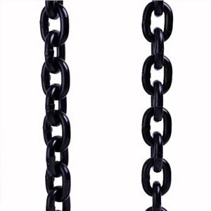 En818-2 Rantai Pengangkat Industri